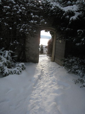 IMG_7444.jpg