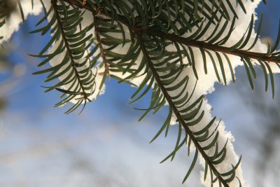 IMG_3431.JPG