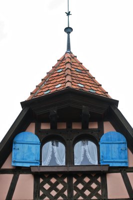 IMG_6623.jpg