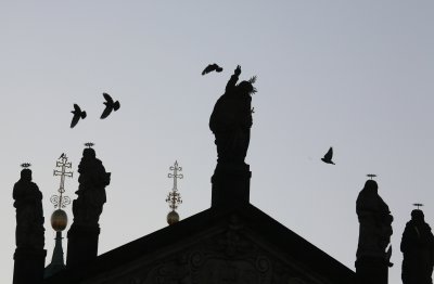 IMG_7442.jpg