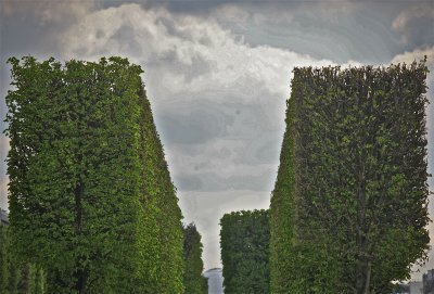 IMG_0023.jpg