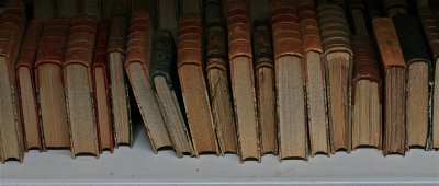 IMG_0768.jpg