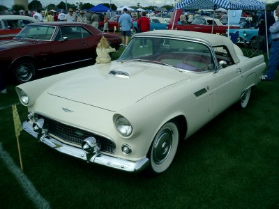 Stewart & Mary's 1956 Thunderbird