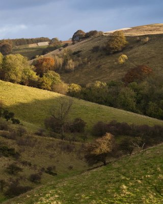 ScoarDale4.jpg