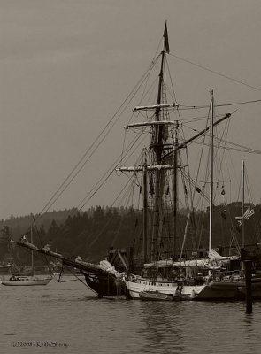 Tall ships overnighted at Dockton Park on Vashon Island - July 2008