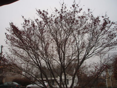 Weather Outside -Flurries
