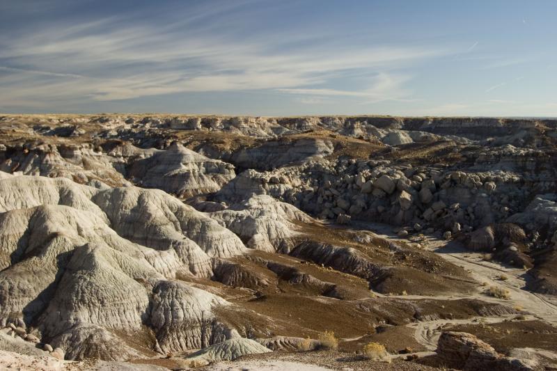 Painted Desert and Petrified Forest in N. Arizona