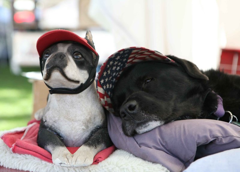 Mia has a couple friends.jpg