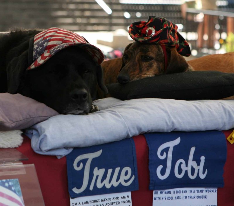 Mia TRue and Toby.jpg