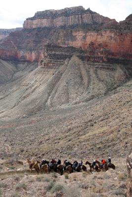 16 Mile Hike in/out Grand Canyon with 9,000 foot elevation change - BRUTAL
