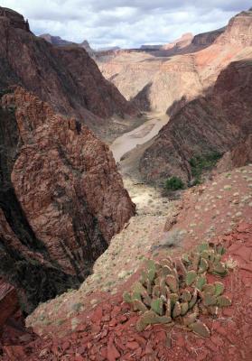 Near the bottom and the Col River