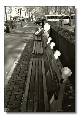g3/44/232344/3/54212919.TheParkBenchPlatinum.jpg