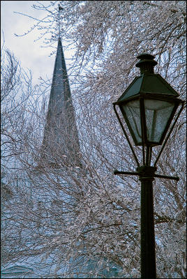 Spring Snow IR Quarter