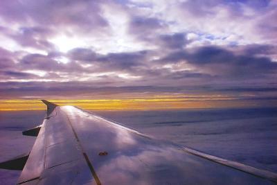 Wing reflections