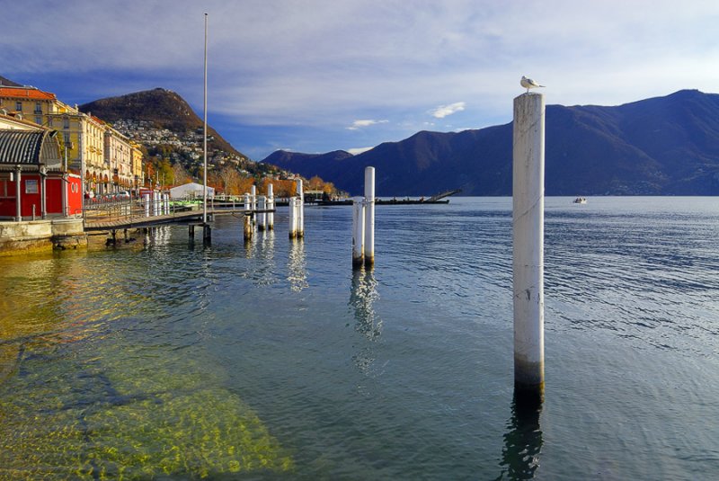Lugano Shoreline