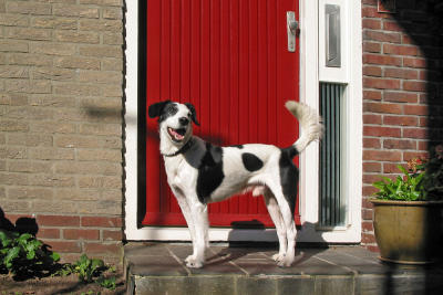 16: red house door