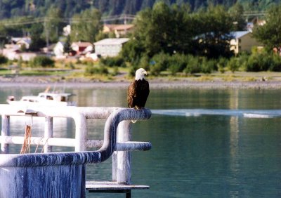 Seward Harbor