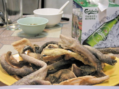 P8020205ES.jpg