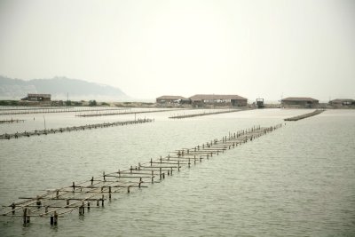 IMG_0101ES.jpg