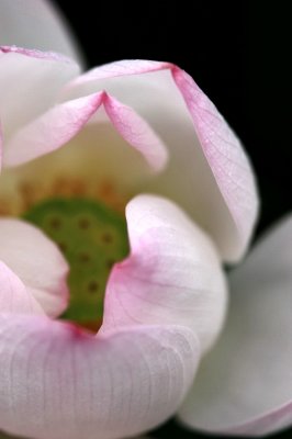 IMG_1043ES.jpg