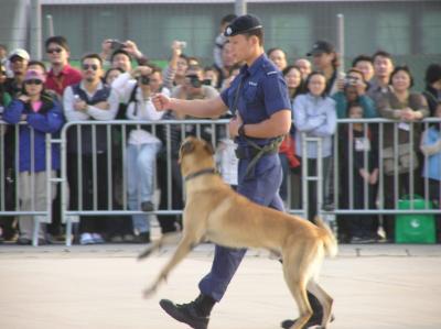 PB200394.JPG