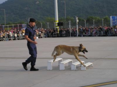 PB200406.JPG