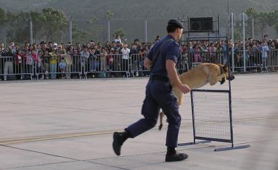 PB200407S.jpg