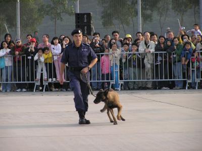 PB200410.JPG