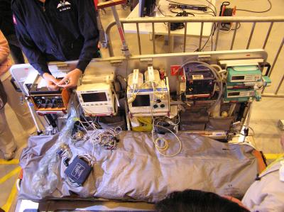 PB200611.JPG
