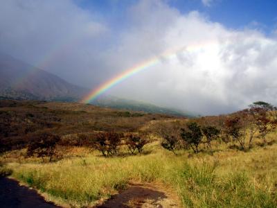 incredible kaupo rainbow