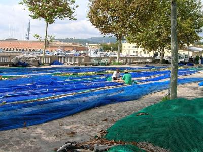 Hafen Palma