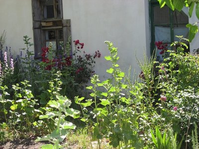 Lassithi view, garden at Psihro