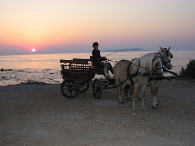 carriage in the evening with Zarah