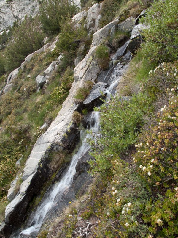 Cascade