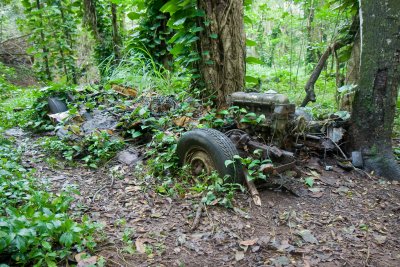 nature ultimately wins