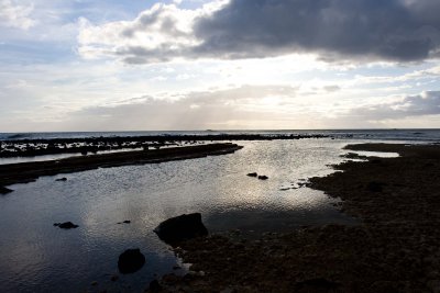 Salt Pond sunset