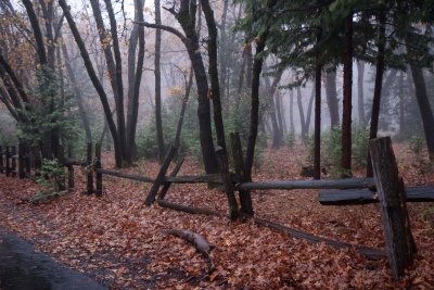 20091122 - Banner Mountain fog