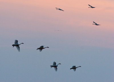 20091227   In Flight