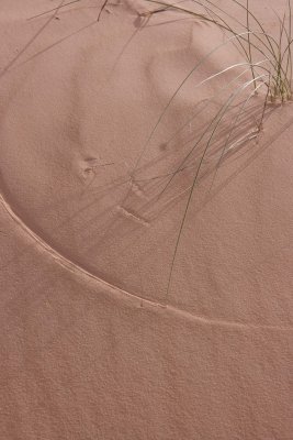 Natures geometry