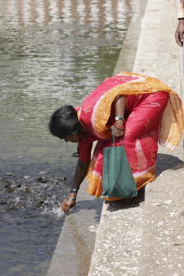 the temple tanks are now used to raise catfish