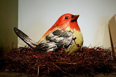 Nesting Season