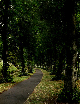 Wherever the Road May Lead