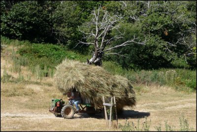 Rural Views