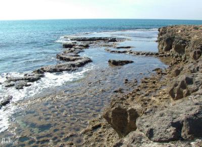 Habonim sea shore