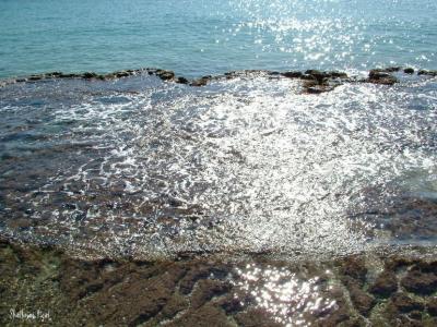 Habonim sea shore