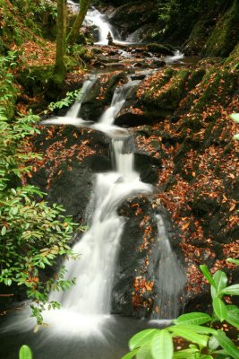 Inistioge waterfall 1.jpg