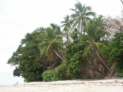 Dravuni Island (Fiji)
