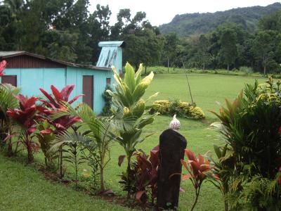 Fijian flora and fauna