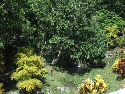 Cascade Waterfall Gardens - Vanuatu