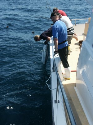 PICT8251.JPG